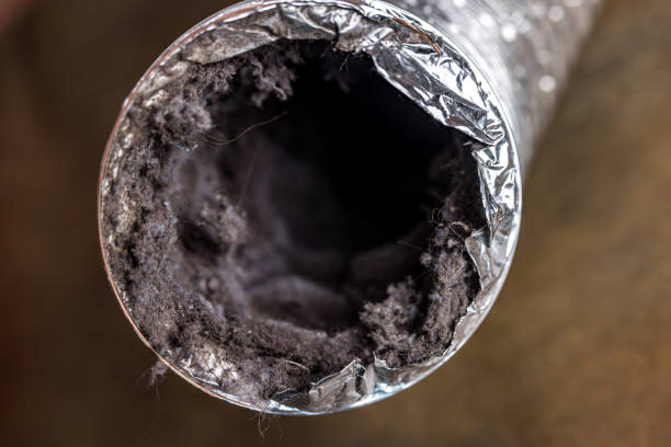 Best Air Duct Sanitizing Services  in Franconia, VA