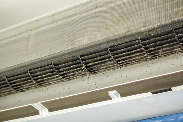 Best Affordable HVAC Duct Cleaning  in Franconia, VA